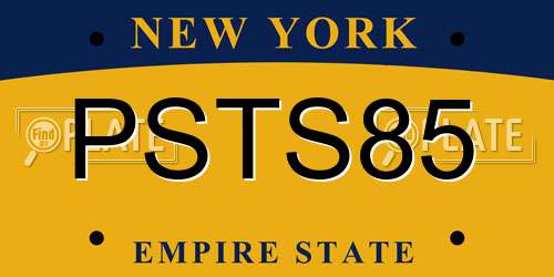 PSTS85 New York License Plate