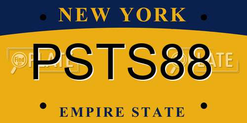 PSTS88 New York License Plate
