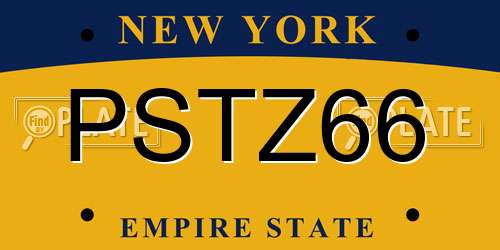 PSTZ66 New York License Plate