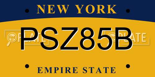 PSZ85B New York License Plate