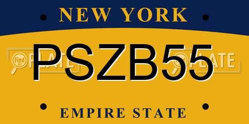 PSZB55 New York License Plate