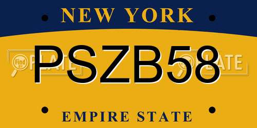 PSZB58 New York License Plate