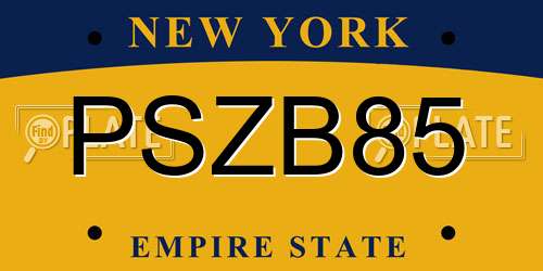 PSZB85 New York License Plate