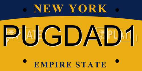 PUGDAD1 New York License Plate