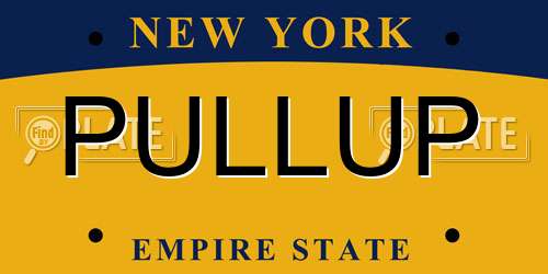 PULLUP New York License Plate