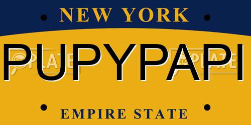 PUPYPAPI New York License Plate