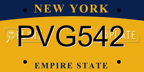 PVG542 New York License Plate