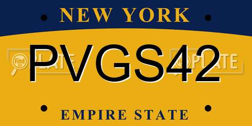 PVGS42 New York License Plate