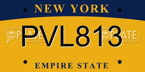 PVL813 New York License Plate