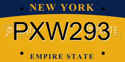 PXW293 New York License Plate