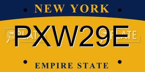 PXW29E New York License Plate