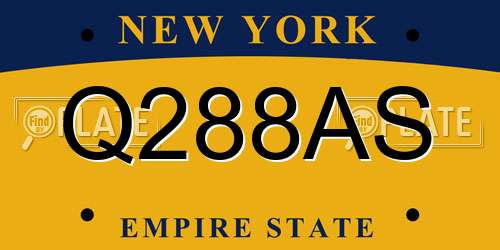 Q288AS New York License Plate