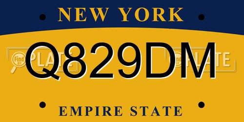 Q829DM New York License Plate