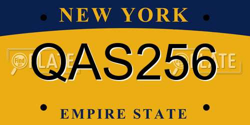 QAS256 New York License Plate