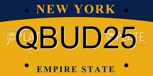 QBUD25 New York License Plate