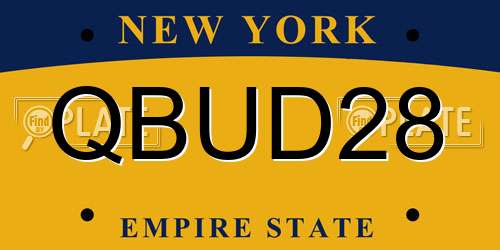 QBUD28 New York License Plate