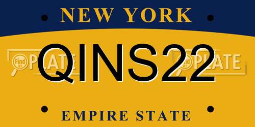 QINS22 New York License Plate
