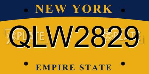 QLW2829 New York License Plate