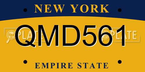 QMD561 New York License Plate