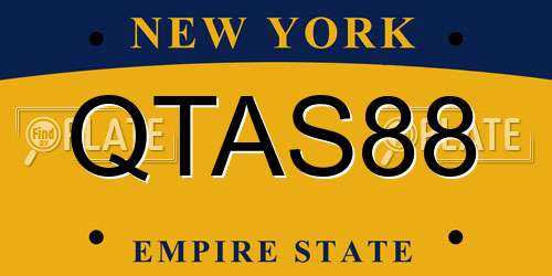 QTAS88 New York License Plate