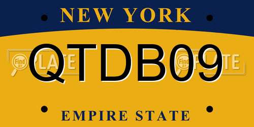QTDB09 New York License Plate