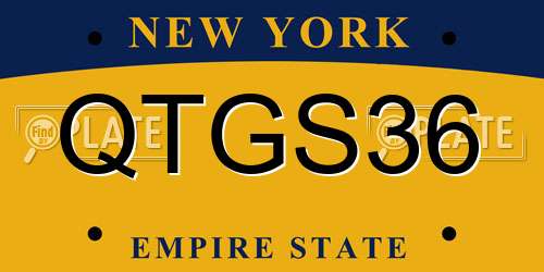 QTGS36 New York License Plate