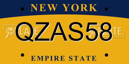 QZAS58 New York License Plate