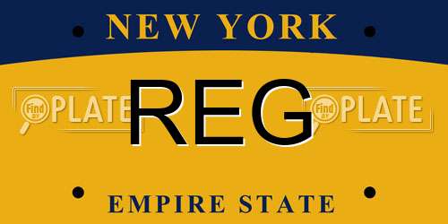 REG New York License Plate