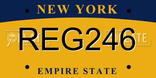 REG246 New York License Plate
