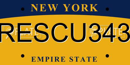 RESCU343 New York License Plate