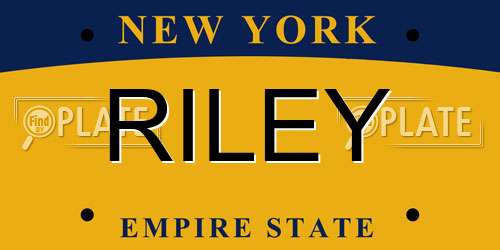 RILEY New York License Plate