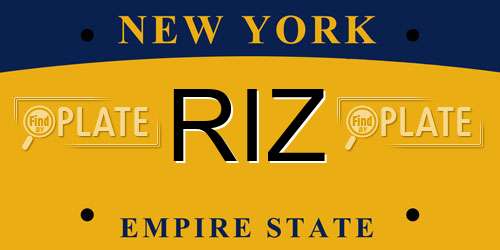 RIZ New York License Plate