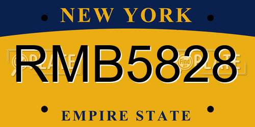 RMB5828 New York License Plate