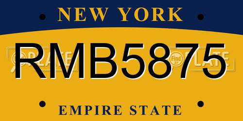 RMB5875 New York License Plate