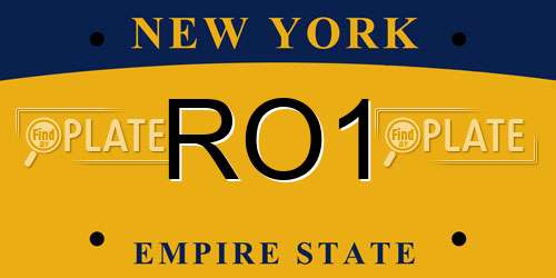 RO1 New York License Plate
