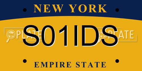 S01IDS New York License Plate