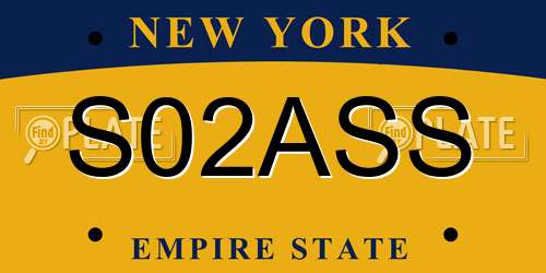 S02ASS New York License Plate