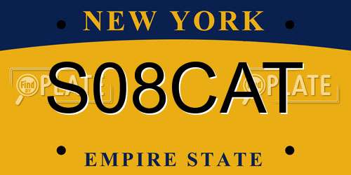S08CAT New York License Plate