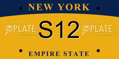 S12 New York License Plate