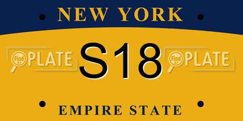S18 New York License Plate