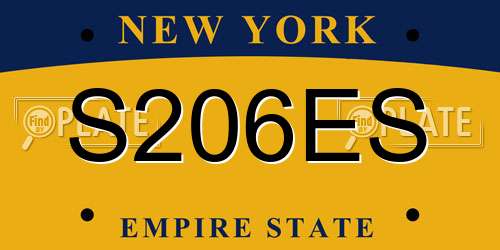 S206ES New York License Plate