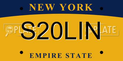 S20LIN New York License Plate