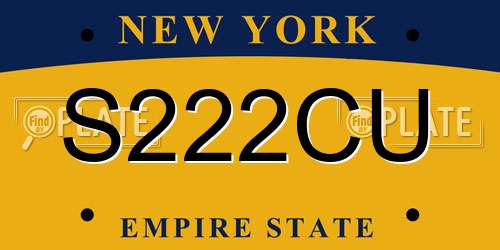 S222CU New York License Plate