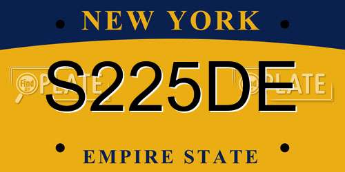 S225DE New York License Plate