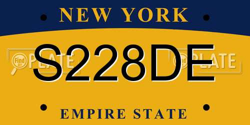 S228DE New York License Plate