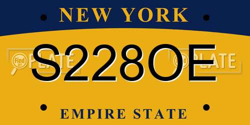 S228OE New York License Plate