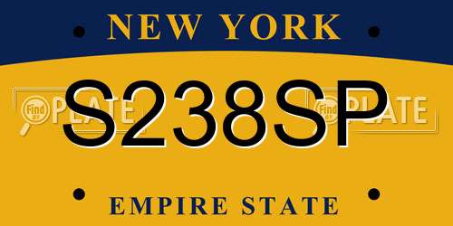 S238SP New York License Plate