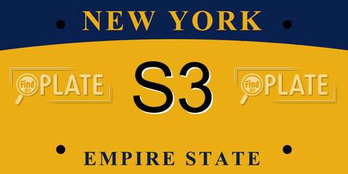 S3 New York License Plate