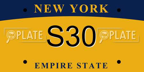 S30 New York License Plate
