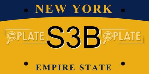 S3B New York License Plate